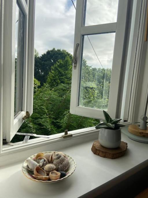 Stunning Views Of Ynyshir & Southern Snowdonia Machynlleth Exterior foto